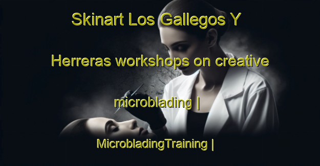 Skinart Los Gallegos Y Herreras workshops on creative microblading | MicrobladingTraining | MicrobladingClasses | SkinartTraining-Spain